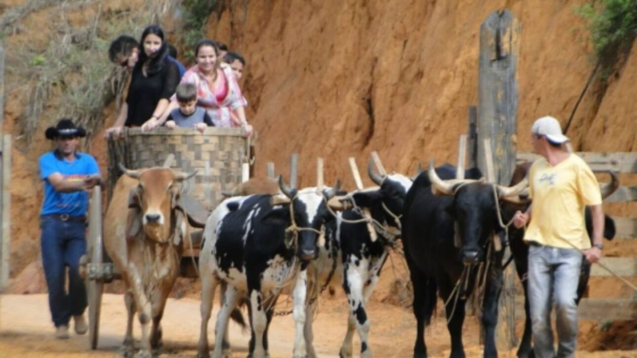 Museo rural en Inhapim con carreta preservada muestra la tradición de la agricultura familiar y atrae turistas. (Imagen: Emater-MG)