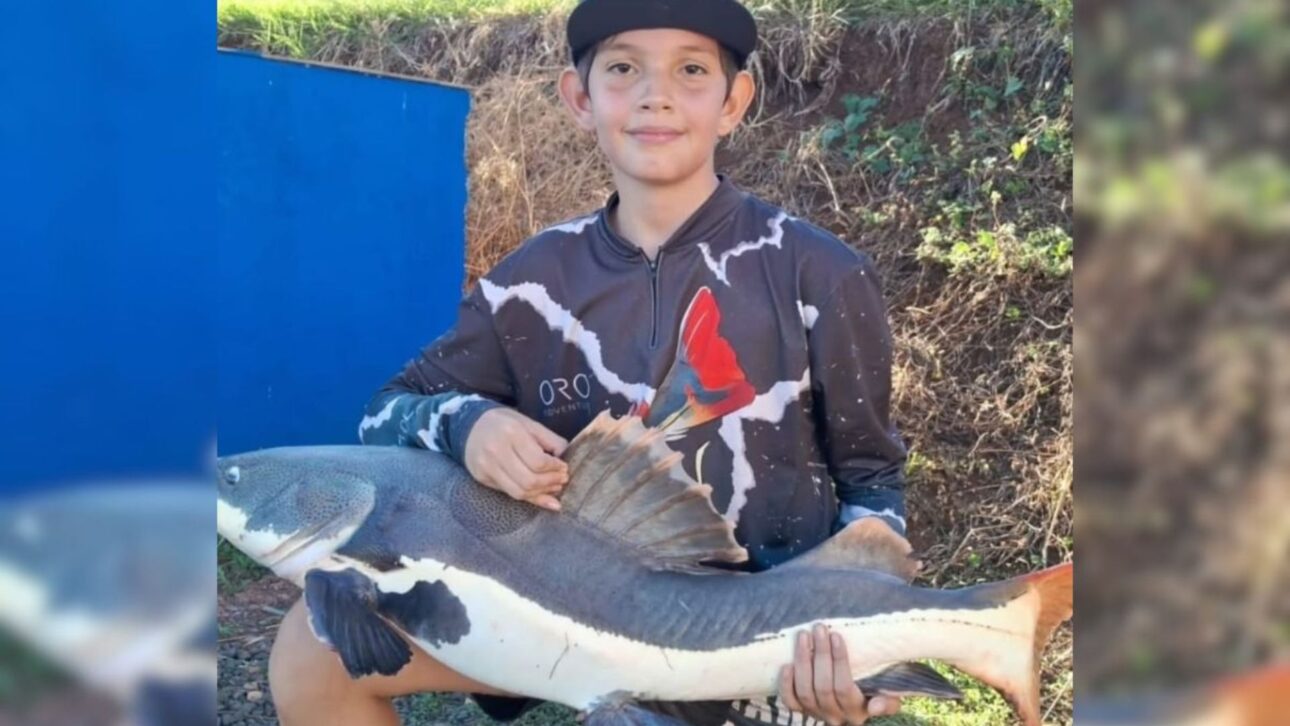 Adolescente de 13 años enfrenta jaú de 21 kg en SC, disputa por más de 1 hora con equipo ligero y concluye captura con suelta responsable.