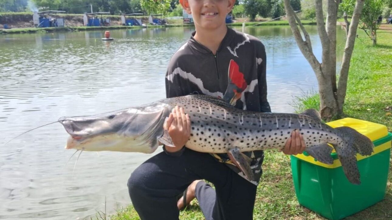 Adolescente de 13 años enfrenta jaú de 21 kg en SC, disputa por más de 1 hora con equipo ligero y concluye captura con suelta responsable.