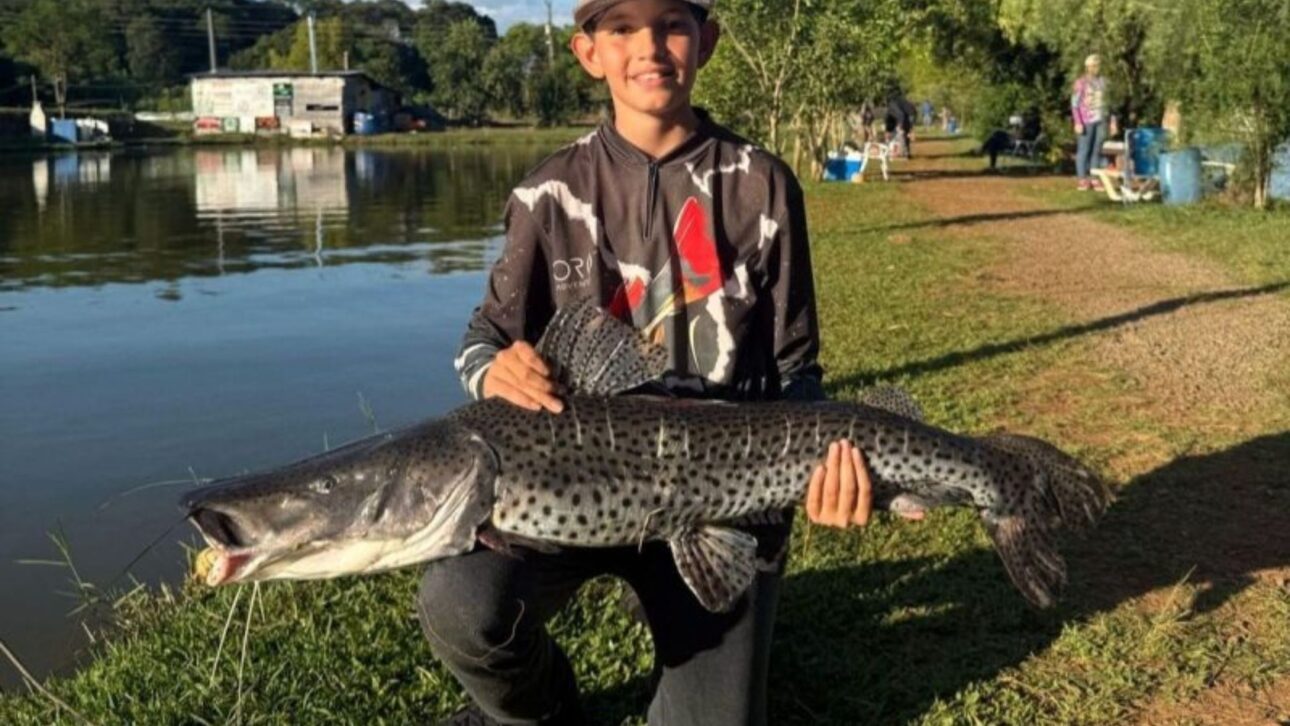 Adolescente de 13 años enfrenta jaú de 21 kg en SC, disputa por más de 1 hora con equipo ligero y concluye captura con suelta responsable.