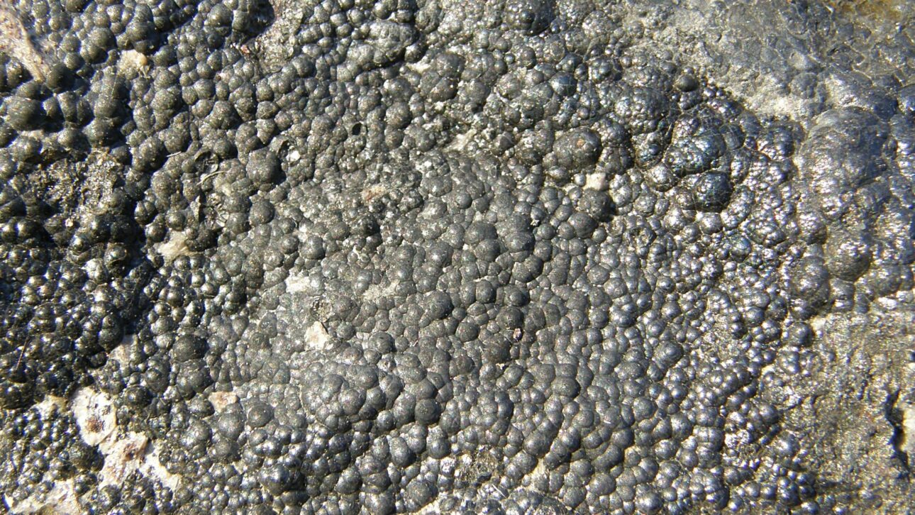 La historia del uranio revela cómo un mineral oscuro impulsó descubrimientos científicos, energía nuclear, avances médicos y grandes cambios tecnológicos.