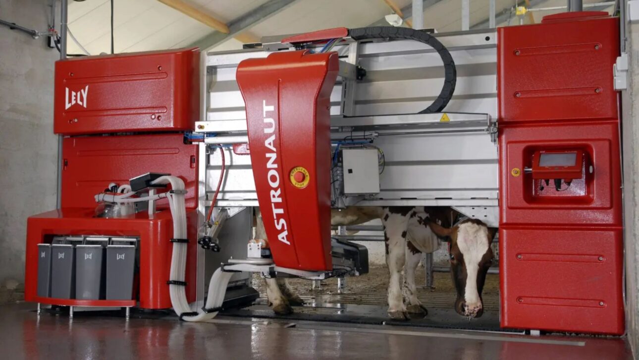 Granja en Tasmania opera 24h con ocho robots y solo un empleado, mostrando cómo la automatización transforma la producción de leche en el mundo.