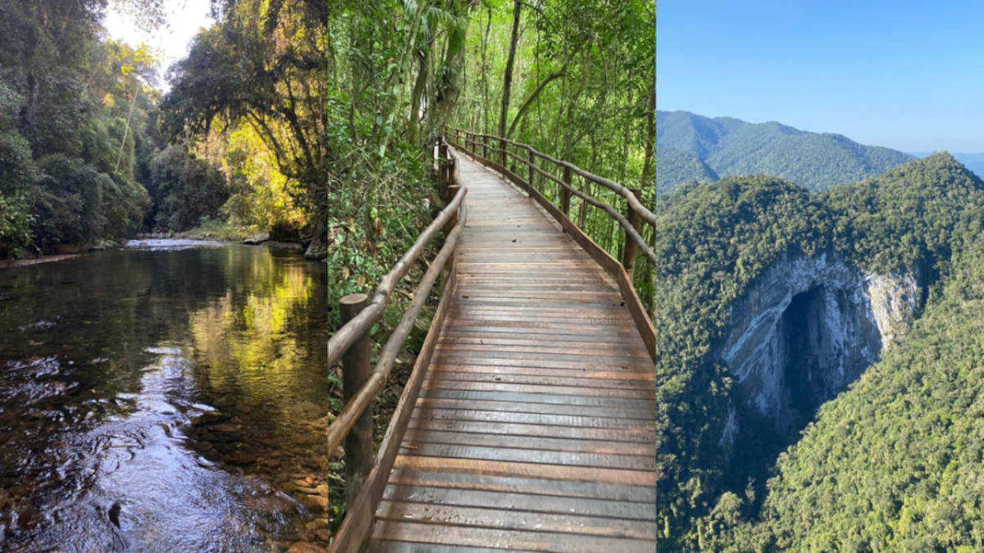 Explore o Petar, parque em SP com cavernas, cachoeiras e trilhas na Mata Atlântica preservada, um dos maiores destinos de ecoturismo do país.