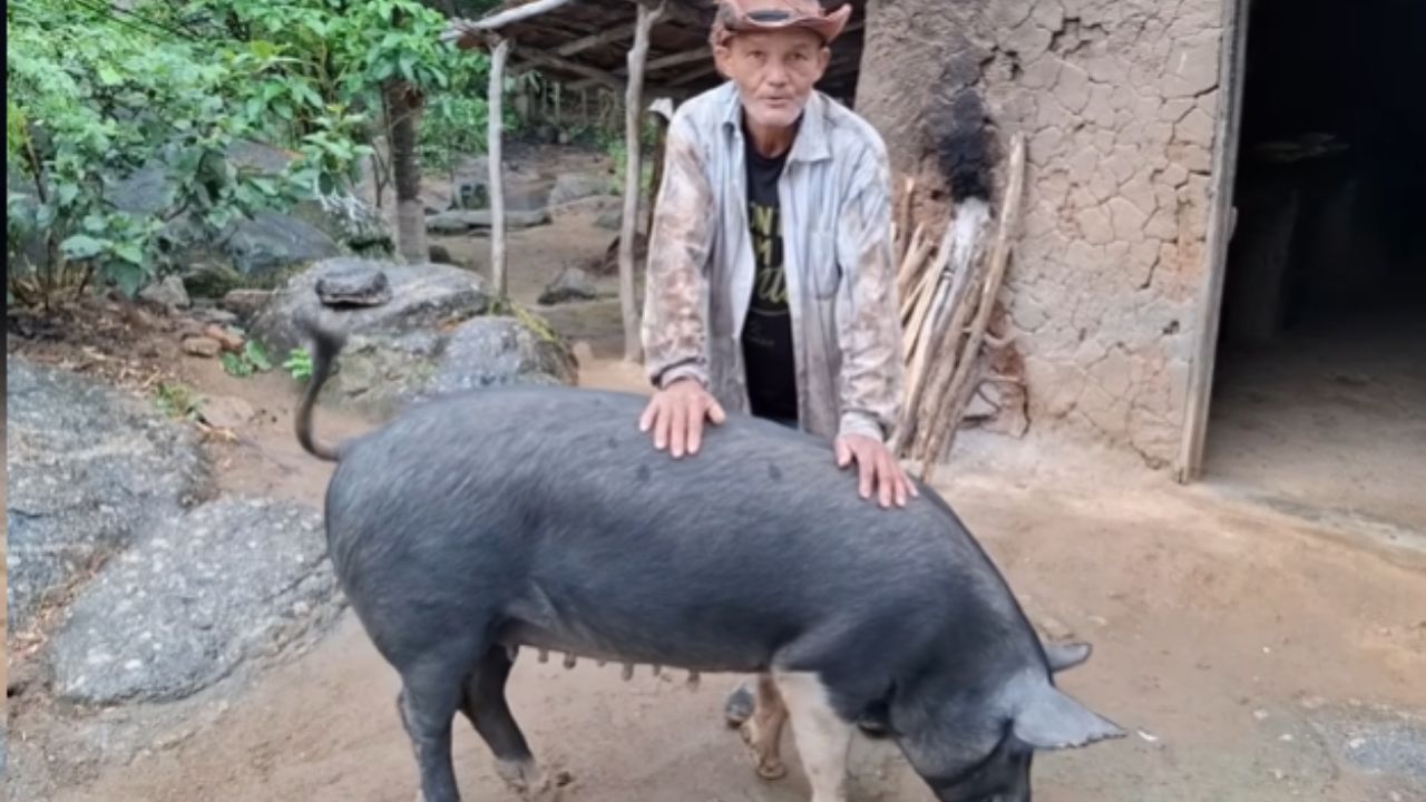 Conoce al anciano que vive aislado en la cima de la sierra sin electricidad. Él carga cemento a cuestas para construir piscinas naturales en Ceará.