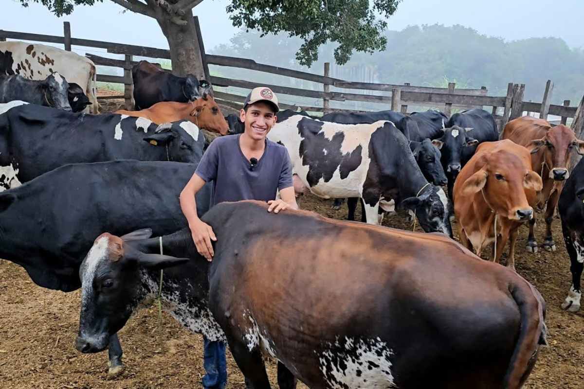 Fenômeno rural, Pedro Vaqueiro mostra como vacas bem cuidadas e produção de leite organizada mantêm o campo vivo e inspiram quem pensa em ficar no interior.