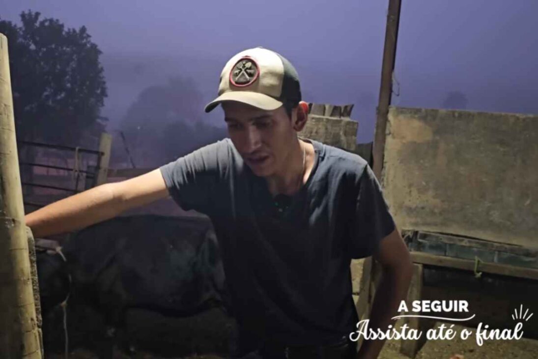 Fenómeno rural, Pedro Vaqueiro muestra como vacas bien cuidadas y producción de leche organizada mantienen el campo vivo e inspiran a quienes piensan en quedarse en el interior.