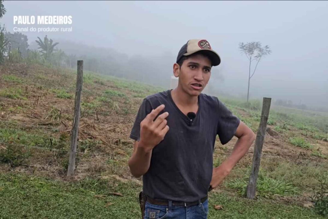 Fenômeno rural, Pedro Vaqueiro muestra como vacas bien cuidadas y producción de leche organizada mantienen el campo vivo e inspiran a quienes piensan en quedarse en el interior.