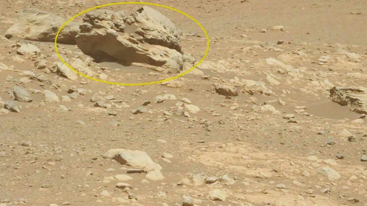 Perseverance encontra rocha Phippsaksla e NASA avalia possível meteorito que pode ampliar entendimento sobre a história geológica e ambiental de Marte