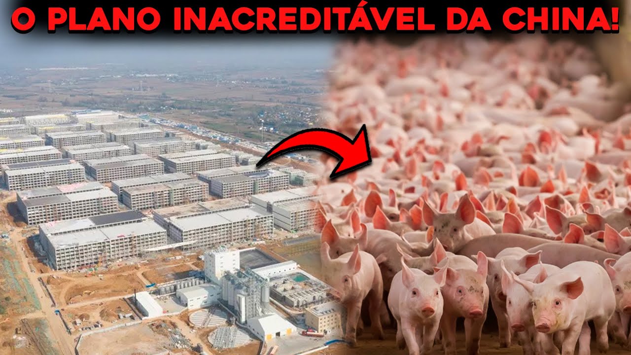 Com prédios de até 26 andares e capacidade para mais de 1 milhão de porcos ao ano, megafazendas verticais na China mostram como automação, densidade extrema e manejo controlado transformaram a criação de porcos em um império industrial