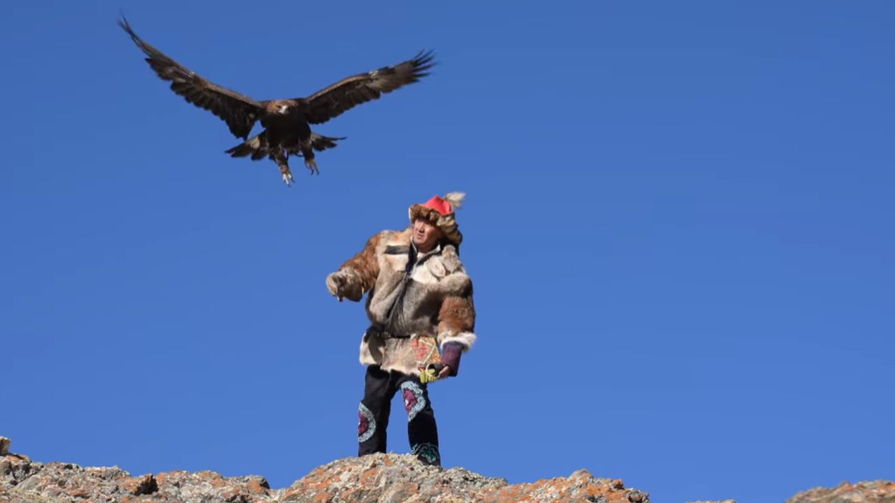 Imagen: Festival del Águila