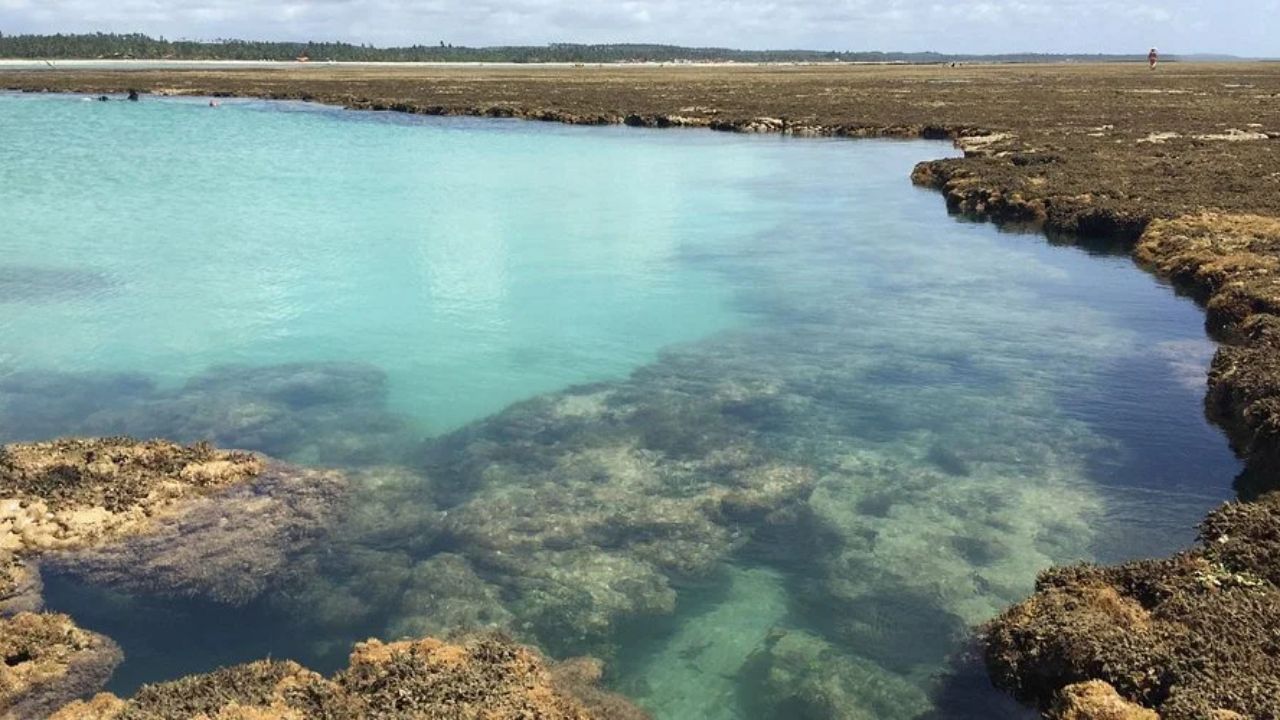 Imagen: Las lindas piscinas naturales de São Miguel dos Milagres