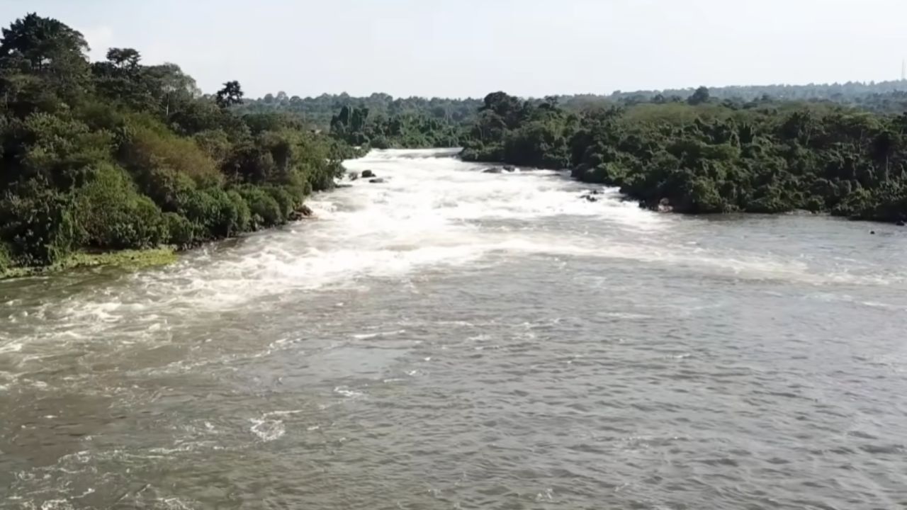 Descubre los ríos más mortales del planeta. De corrientes asesinas a animales salvajes, explora aguas peligrosas que asustan al mundo entero.