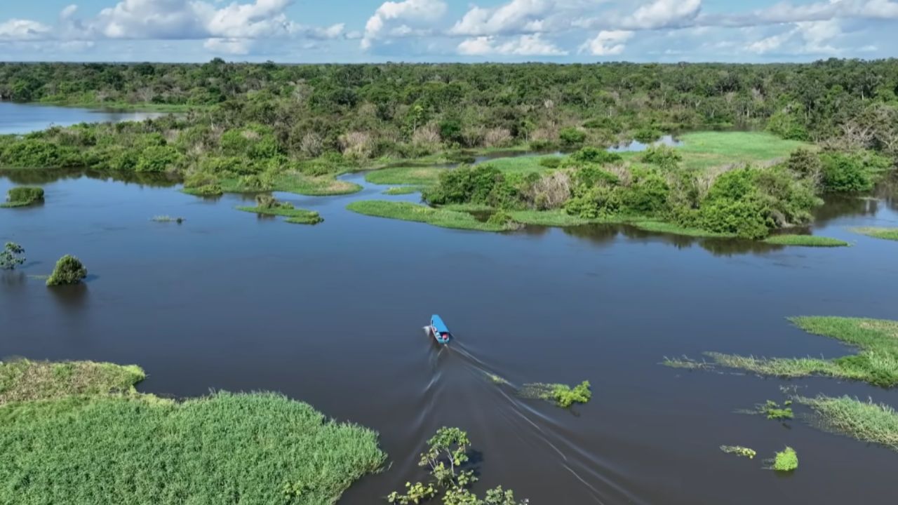 Descubre los ríos más mortales del planeta. De corrientes asesinas a animales salvajes, explora aguas peligrosas que asustan al mundo entero.