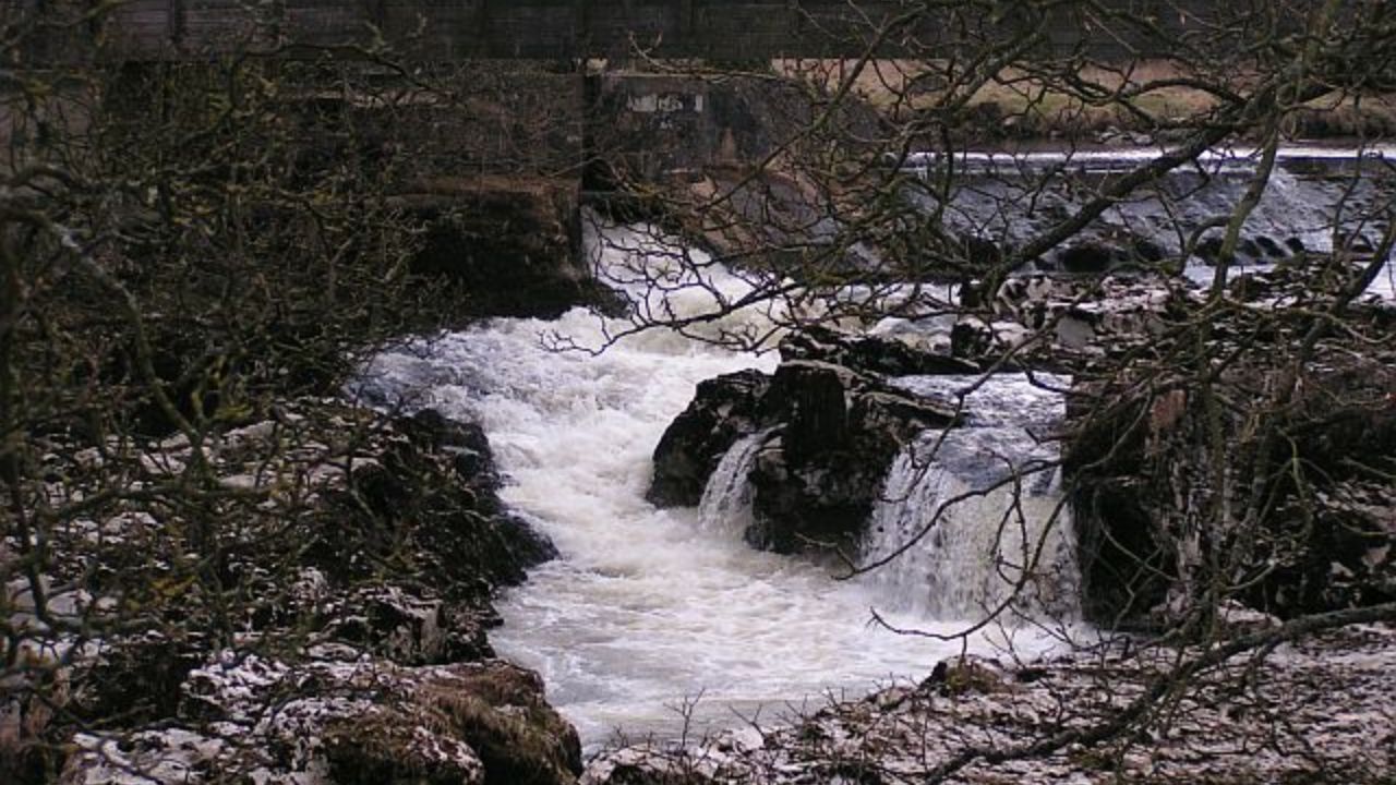 Descubre los ríos más mortales del planeta. De corrientes asesinas a animales salvajes, explora aguas peligrosas que asustan al mundo entero.
