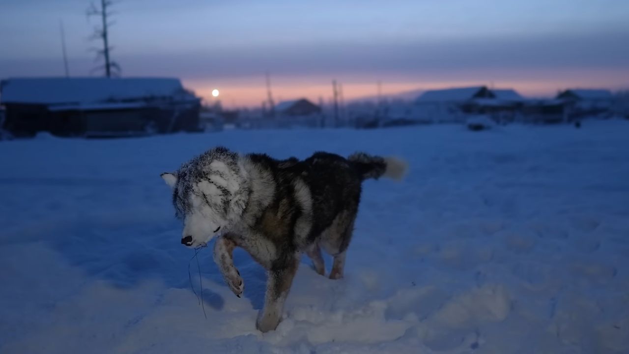 Oymyakon a -71°C a rotina onde cílios congelam e a sobrevivência é um desafio diário na vila mais fria da terra
