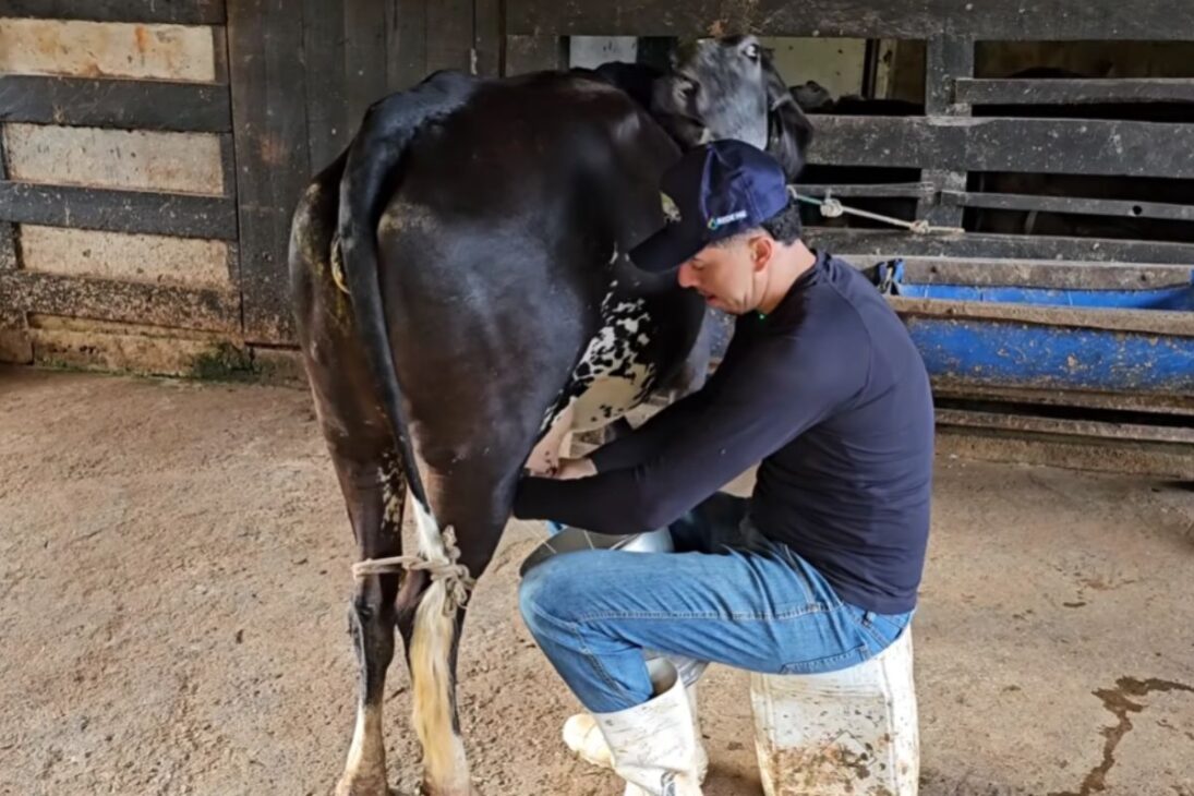En plena pandemia, la historia en la que un joven matrimonio cambia la ciudad por el campo muestra cómo la finca se convirtió en fuente de ingresos, calidad de vida y reconexión entre ciudad y campo.