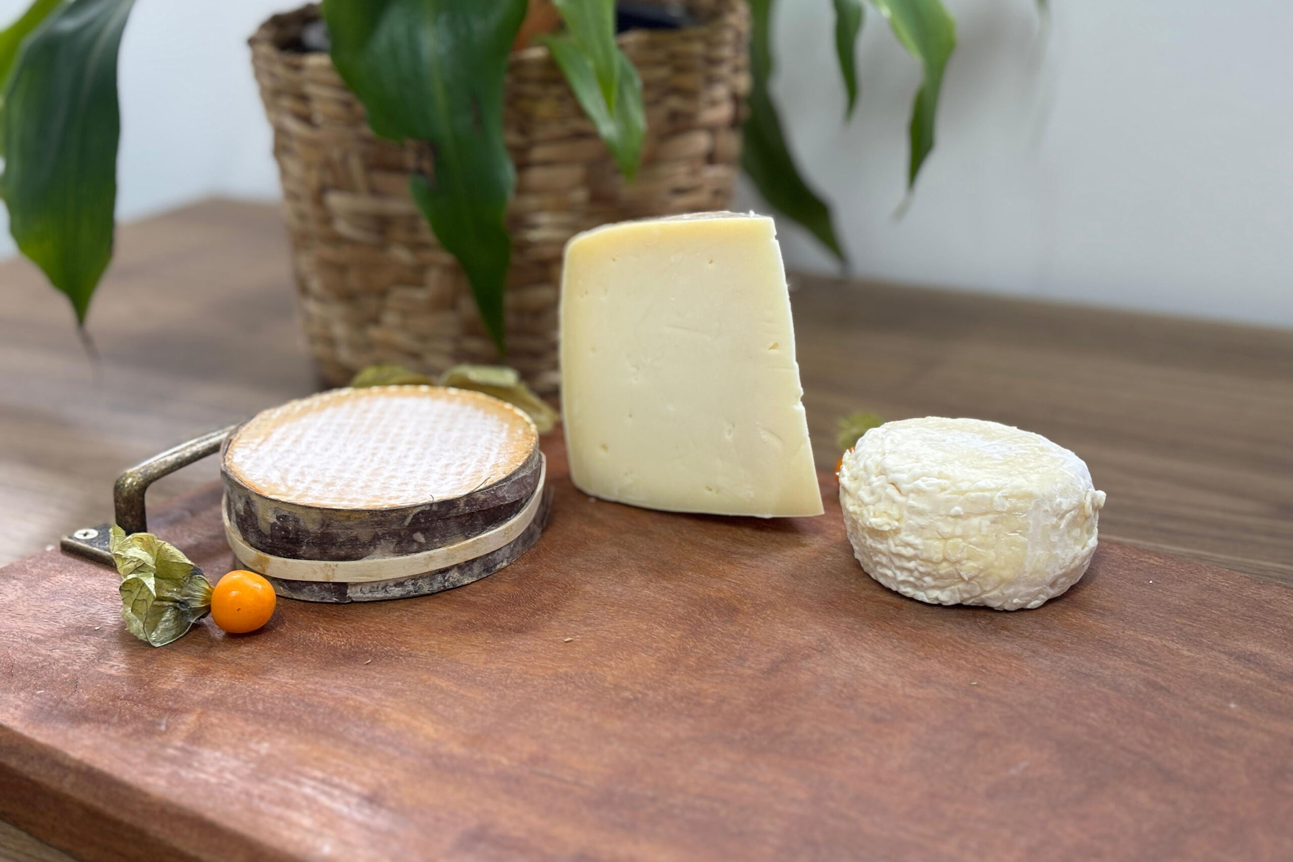 Os queijos do Paraná alcançaram projeção inédita após o World Cheese Awards 2025 revelar que três produtos desenvolvidos em Toledo conquistaram reconhecimento entre mais de 5 mil concorrentes vindos de 50 países