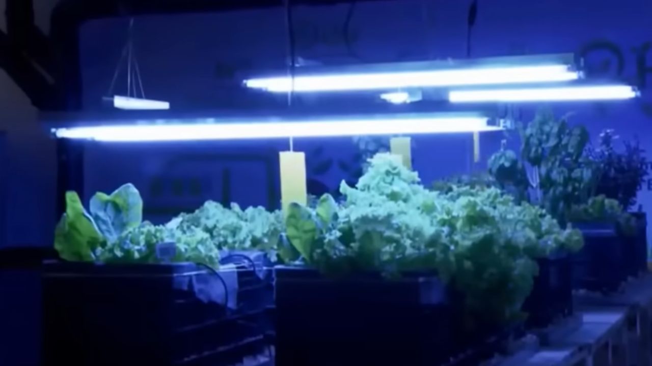 Descubre la metrópoli invisible de São Paulo. Explora una ciudad oculta gigante con ríos soterrados, criptas históricas y secretos bajo el asfalto.