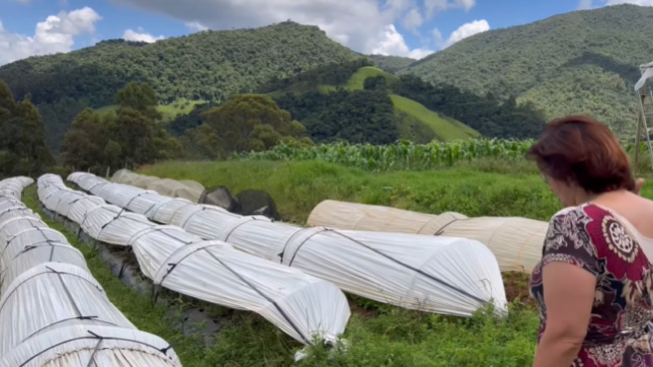 En la Mantiqueira, un sitio orgánico con casa construida desde cero con barro ofrece vida en el campo y turismo rural para quienes buscan un refugio simple.