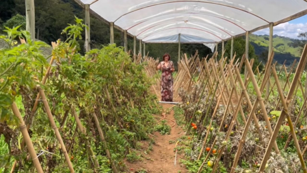 En la Mantiqueira, un sitio orgánico con casa construida desde cero con barro ofrece vida en el campo y turismo rural para quienes buscan un refugio simple.
