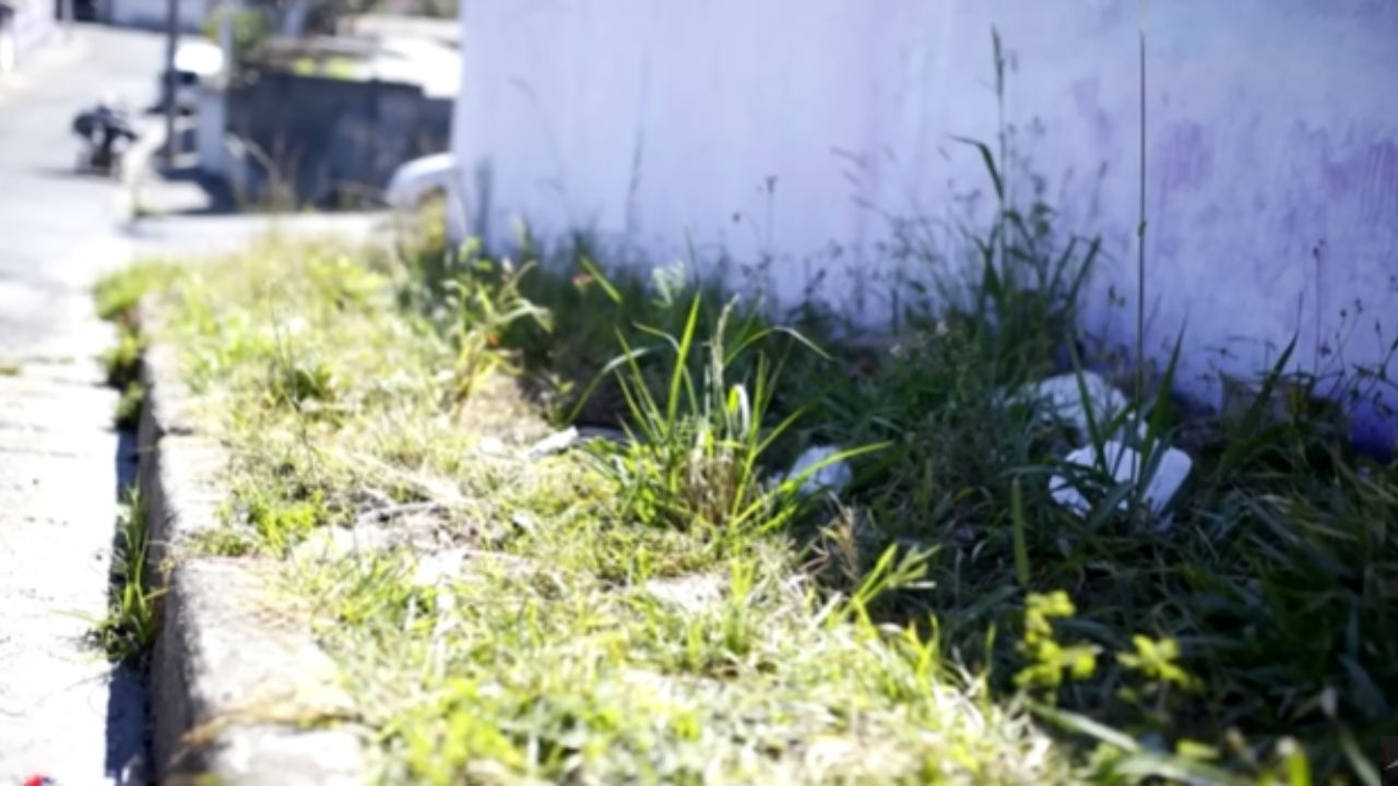 Descubre las reglas prohibidas en Brasil. Sepa lo que no hacer al construir en el terreno, cómo regularizar la obra y evitar problemas con el vecino.