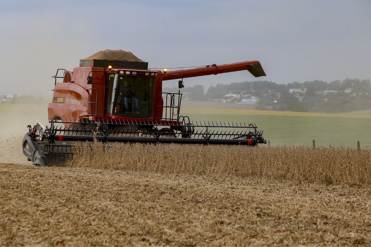 A agricultura paranaense iniciou novembro sob o desafio das chuvas intensas, ventos fortes e episódios de granizo registrados nas regiões Centro-Oeste e Norte do Estado