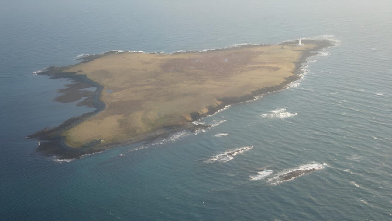 En isla remota rodeada por mar violento y vientos de hasta 120 km/h, pareja transforma territorio aislado en refugio autosuficiente con 300 ovejas raras, energía propia y la única casa habitada de todo el archipiélago