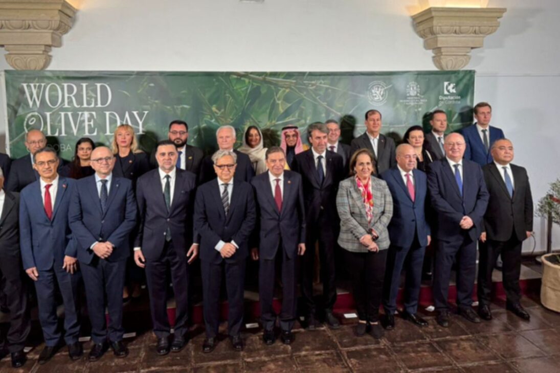 El aceite de Brasil ganó visibilidad internacional al ser destacado en la celebración del World Olive Day, realizado durante la 122ª reunión del Consejo Oleícola Internacional (COI) en Córdoba, España