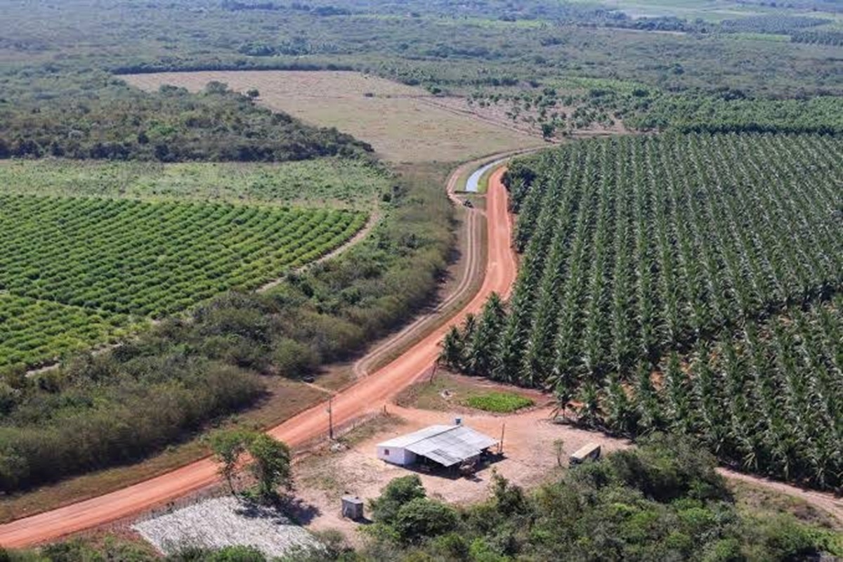 Programa cria ações de irrigação sustentável, amplia acesso a crédito e prioriza agricultores em áreas com escassez hídrica