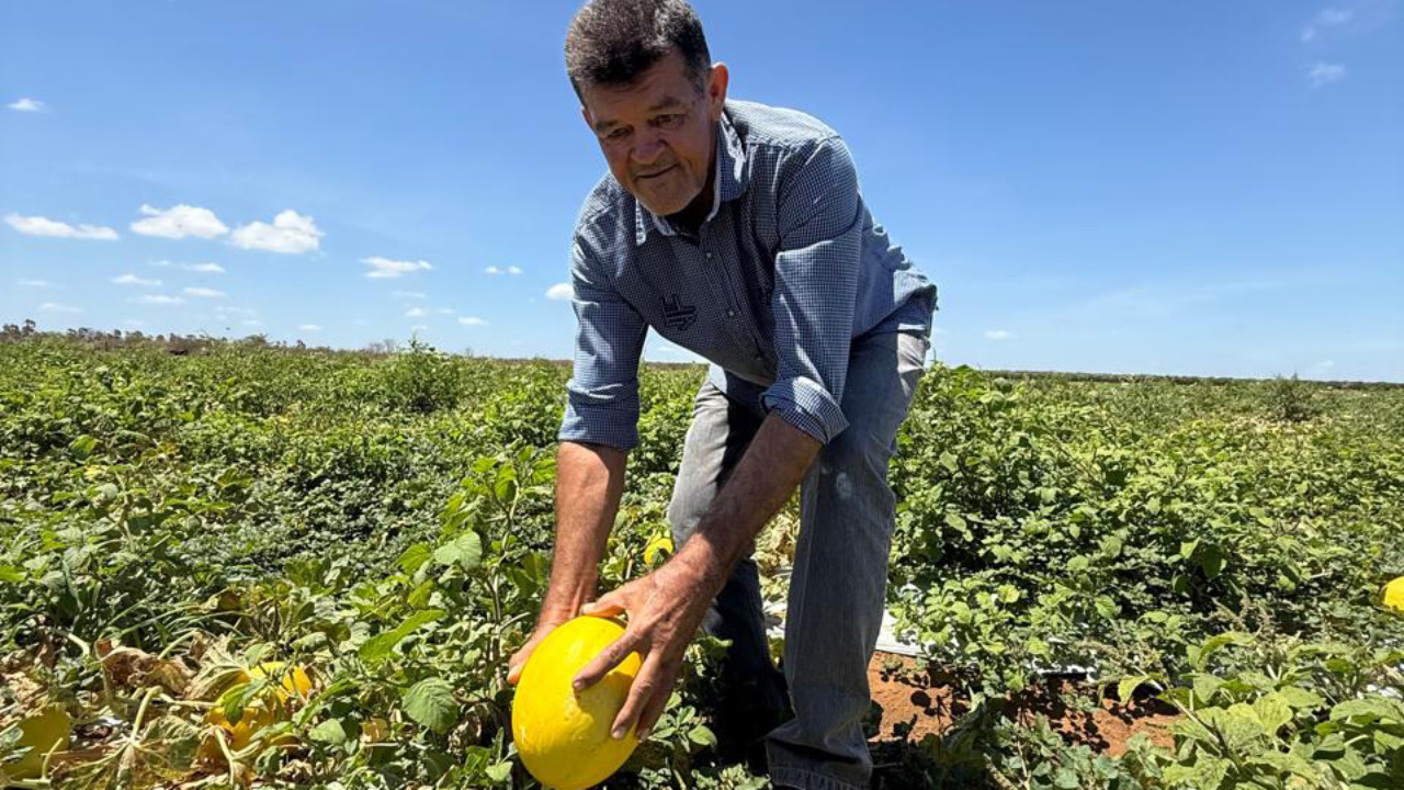 Projeto São José investe cerca de R$ 400 mil em usina de energia solar para 12 famílias de Aracati, reduzindo custos agrícolas, fortalecendo a irrigação e ampliando a competitividade dos produtos no mercado.