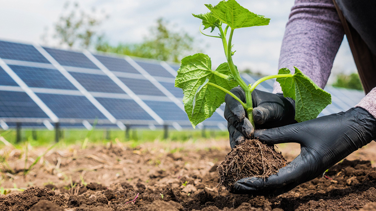 Agricultor de Jaguaribe economiza mais de R$ 600 por mês após instalar energia solar no solo da propriedade. Sistema garantiu bem-estar, segurança financeira e autonomia energética.