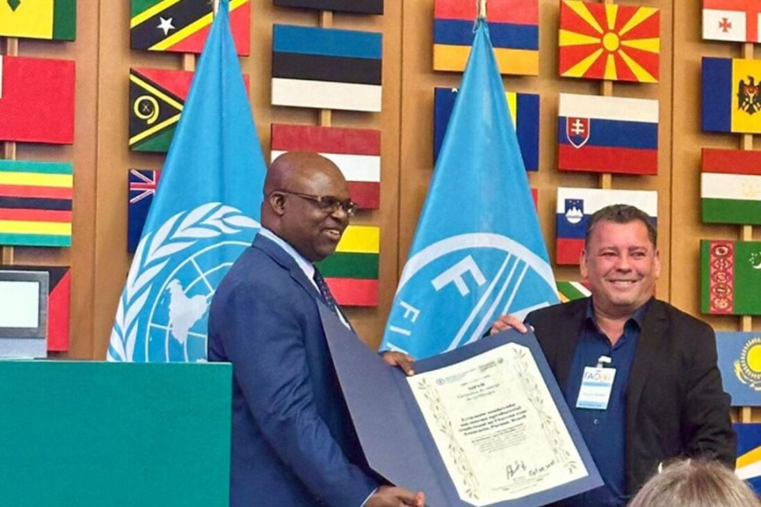 El título de la FAO refuerza la importancia de la yerba mate sombreada para la agricultura familiar sostenible en el sur de Brasil, donde miles de familias viven del cultivo aliado a la preservación del bosque