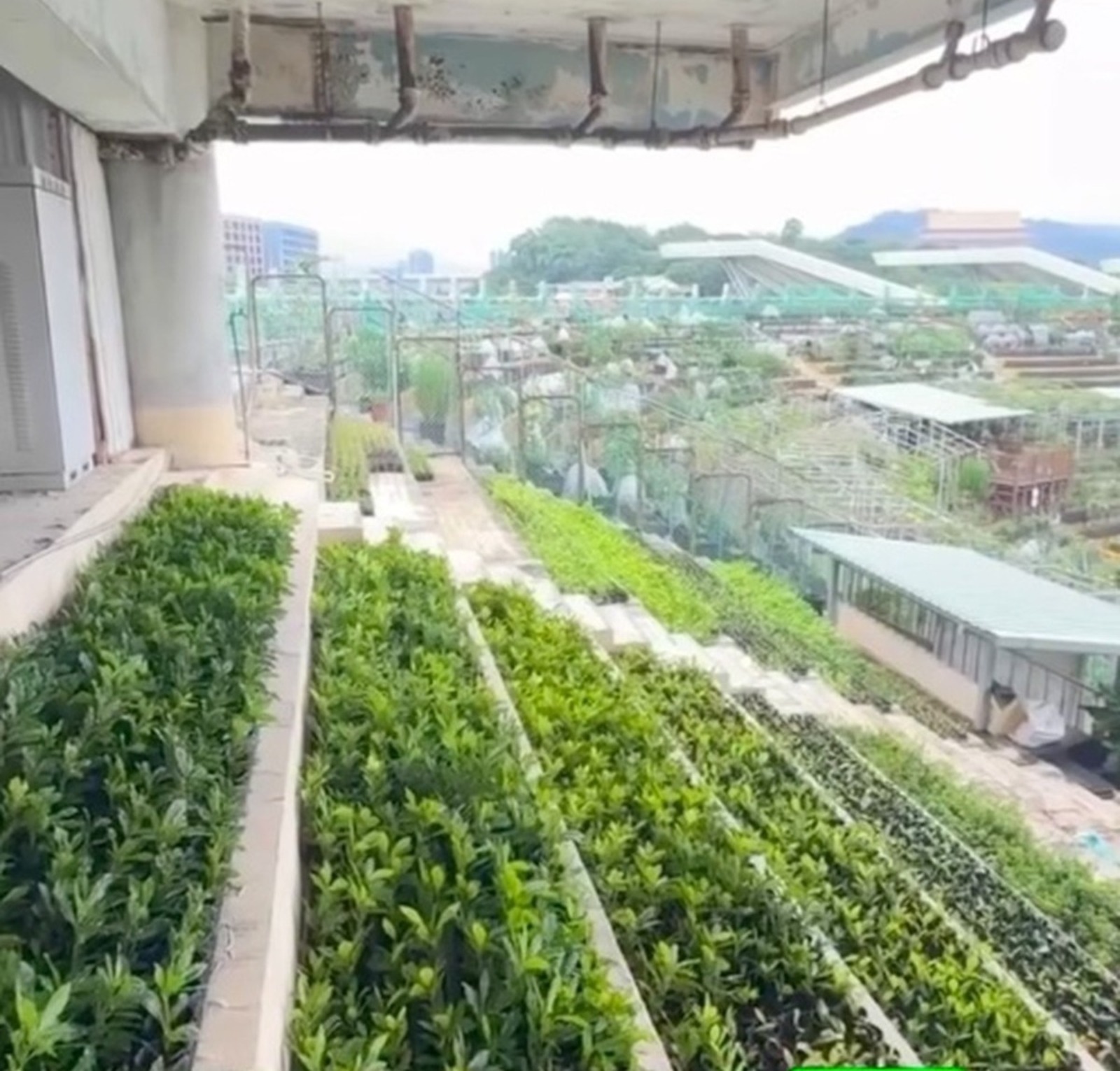 Estádio abandonado, Estádio, orta
