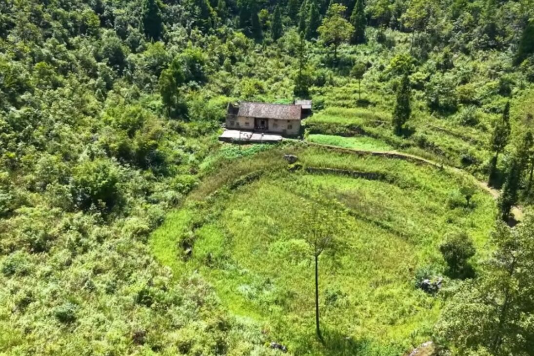 La historia de la anciana que vive aislada en las montañas de Guizhou muestra cómo la soledad puede convertirse en autonomía al rechazar la ciudad y elegir permanecer donde siempre ha vivido.