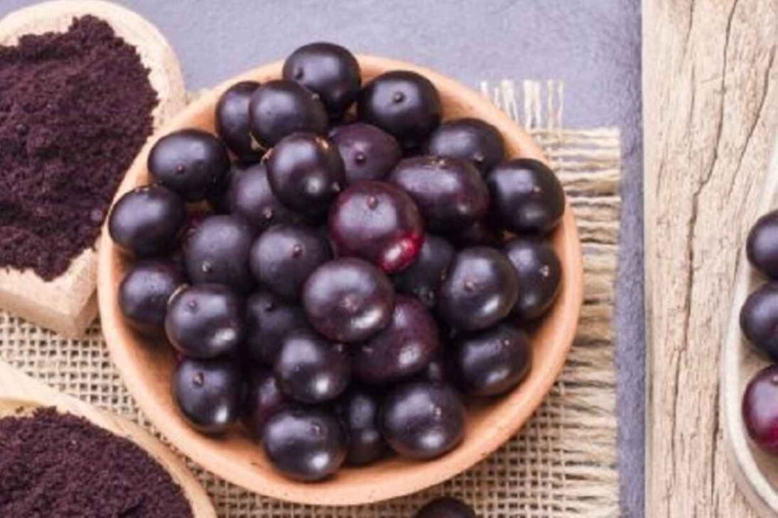 La mayor granja de açaí del mundo utiliza tecnología en la Amazonía para transformar el açaí en puré y productos premium, garantizando calidad, trazabilidad y suministro global todo el año.