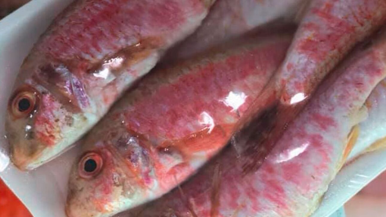 Pescado trilha fresco con aspecto brillante en mostrador.