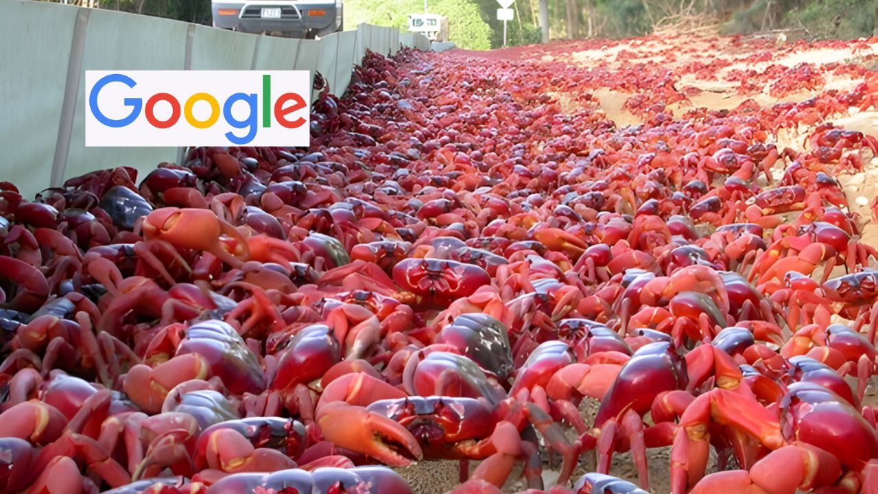 O Google anuncia novos planos de cabos submarinos na Ilha do Natal, território australiano com 1.500 habitantes e 120 milhões de caranguejos. Entenda por que o local é estratégico para a tecnologia global.