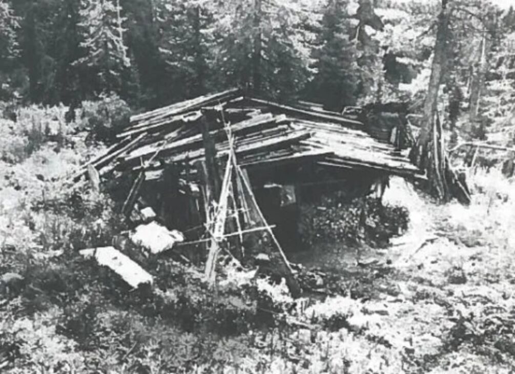 Bosque, Siberia, Familia