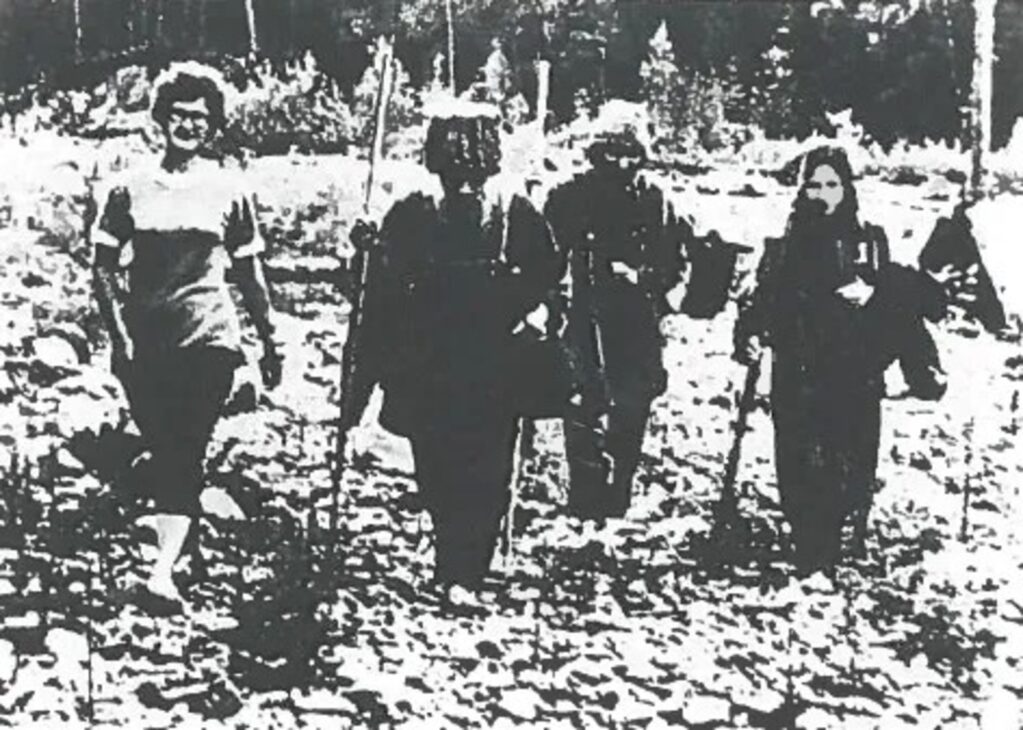 Bosque, Siberia, Familia