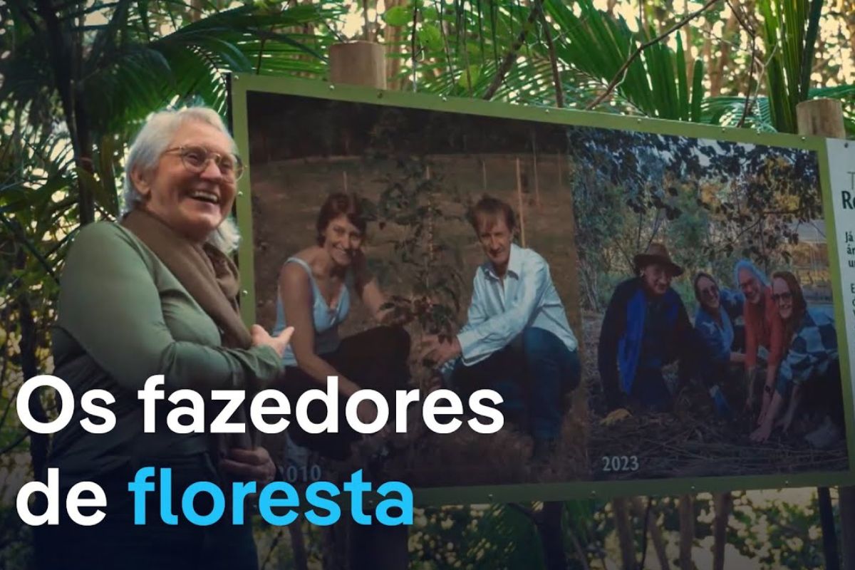 Projeto Premave transforma enchente em reflorestamento Mata Atlântica: 10 milhões de árvores plantadas unem produtor rural e mercado de carbono sustentável.