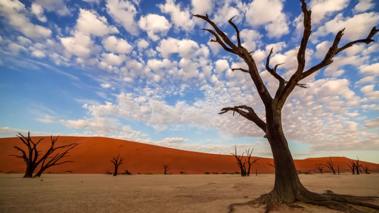 Descubre 20 lugares surreales de la Tierra, con cavernas azules, desiertos que se convierten en espejo y montañas peligrosas que parecen de outro planeta.