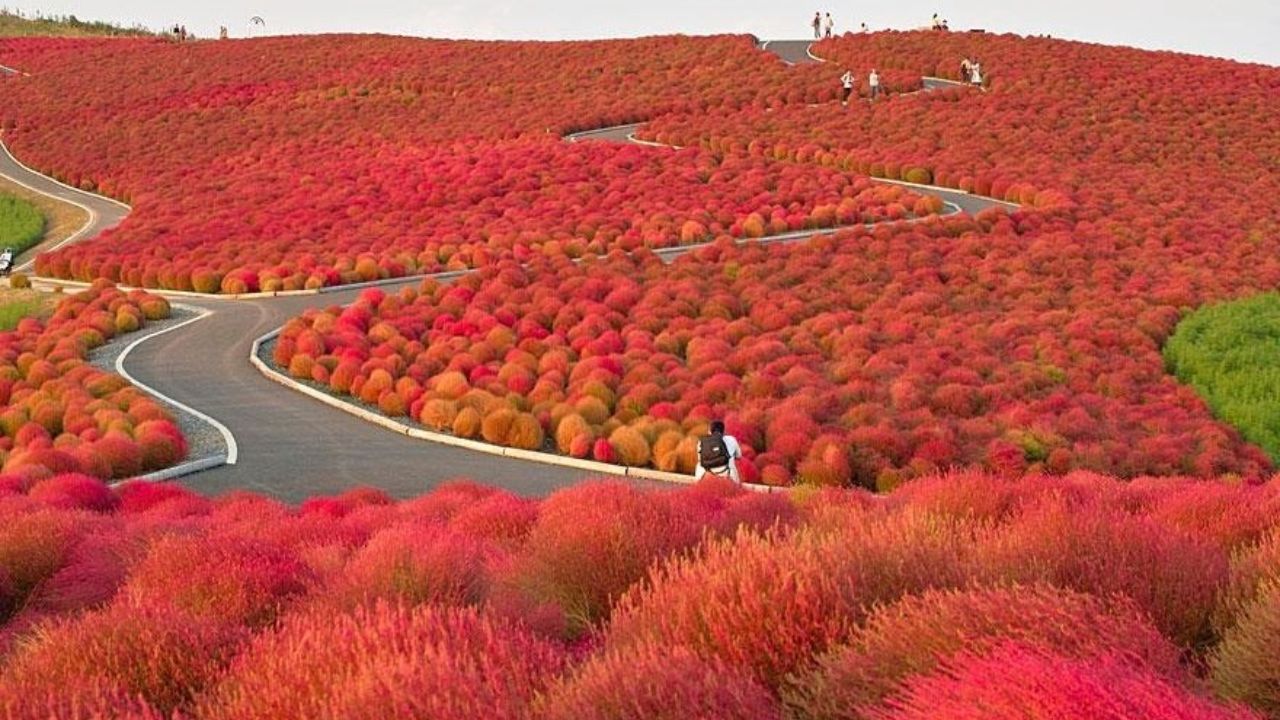 Descubre 20 lugares surreales de la Tierra, con cavernas azules, desiertos que se convierten en espejo y montañas peligrosas que parecen de otro planeta.