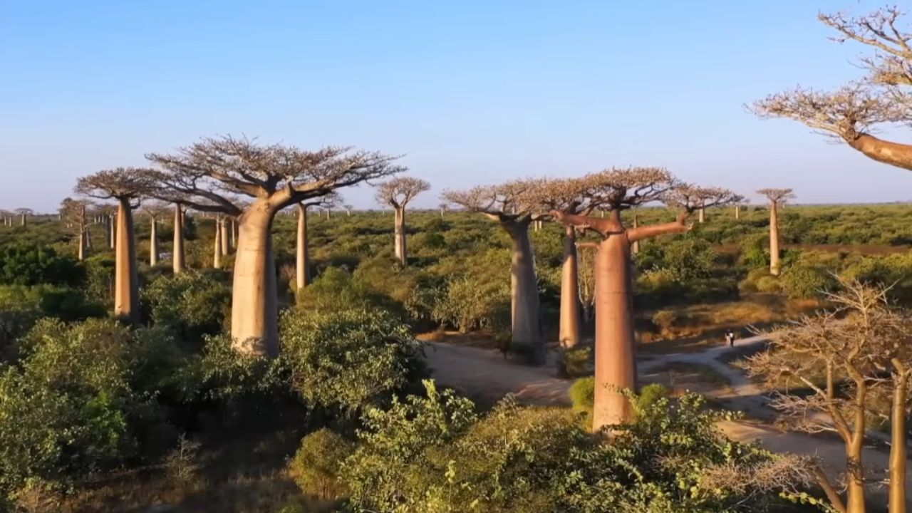 Descubre 20 lugares surreales de la Tierra, con cavernas azules, desiertos que se convierten en espejo y montañas peligrosas que parecen de otro planeta.