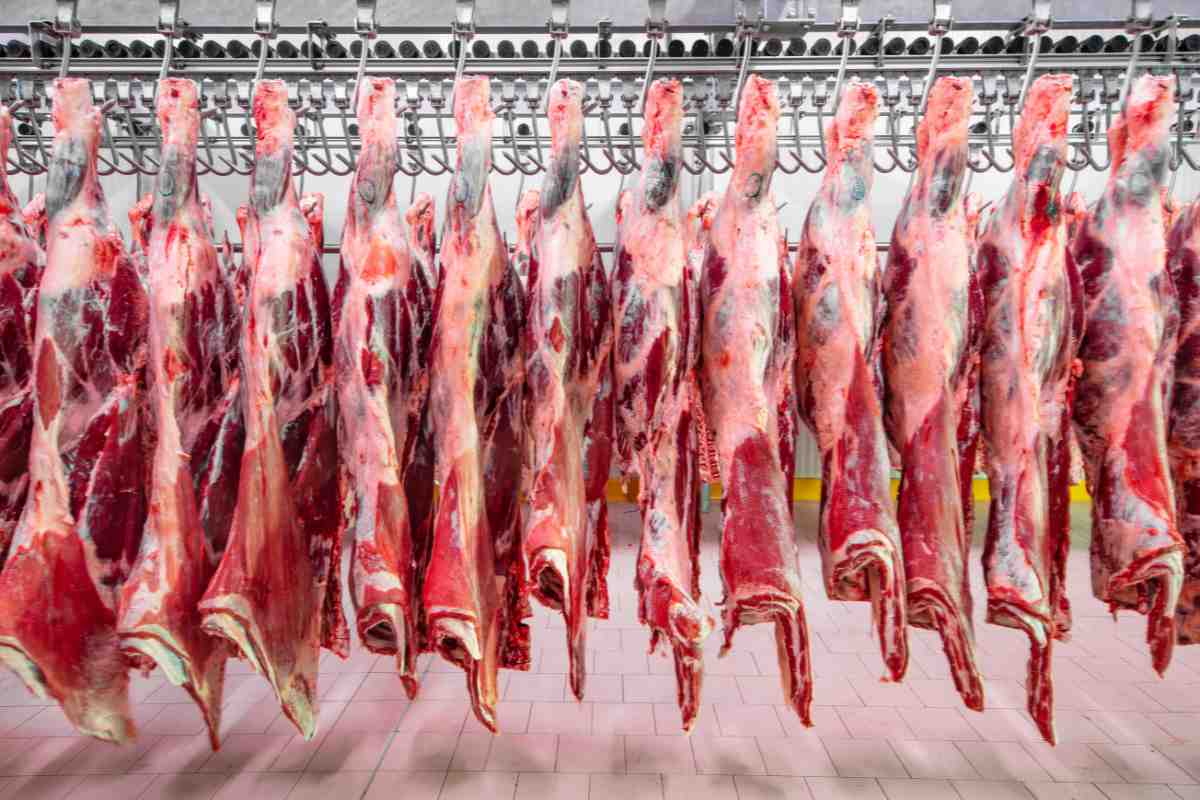 Minerva alerta sobre fluazuron na carne brasileira; China e União Europeia reforçam fiscalização e pressão sobre exportações e protocolos sanitários.