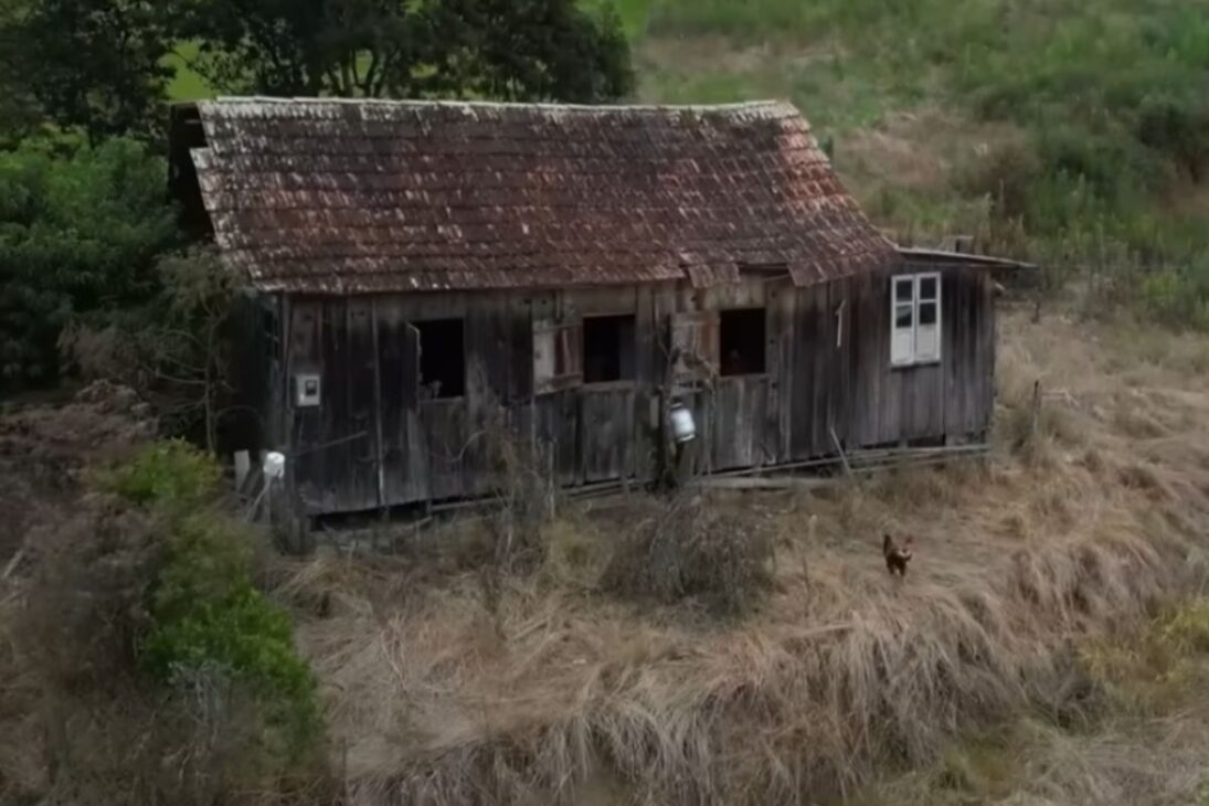 Habitante del interior, a casi 100 años, vive solo en el campo; su vida rural está guiada por memoria y afecto y revela la fuerza de la tradición.