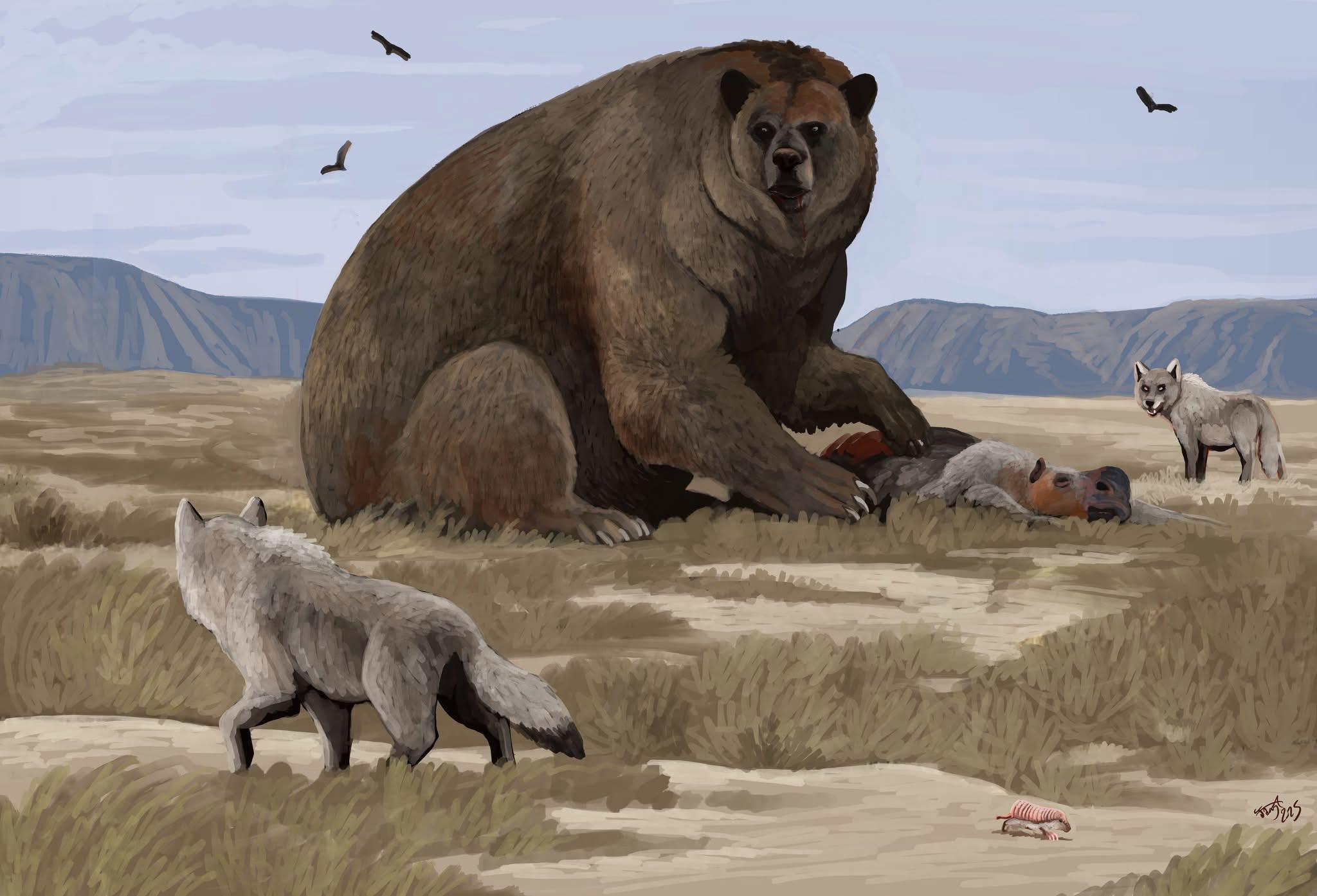 Com até 3,5 metros em pé e peso estimado acima de 1,5 tonelada, o Arctotherium angustidens entrou para a história como o maior urso já registrado no mundo