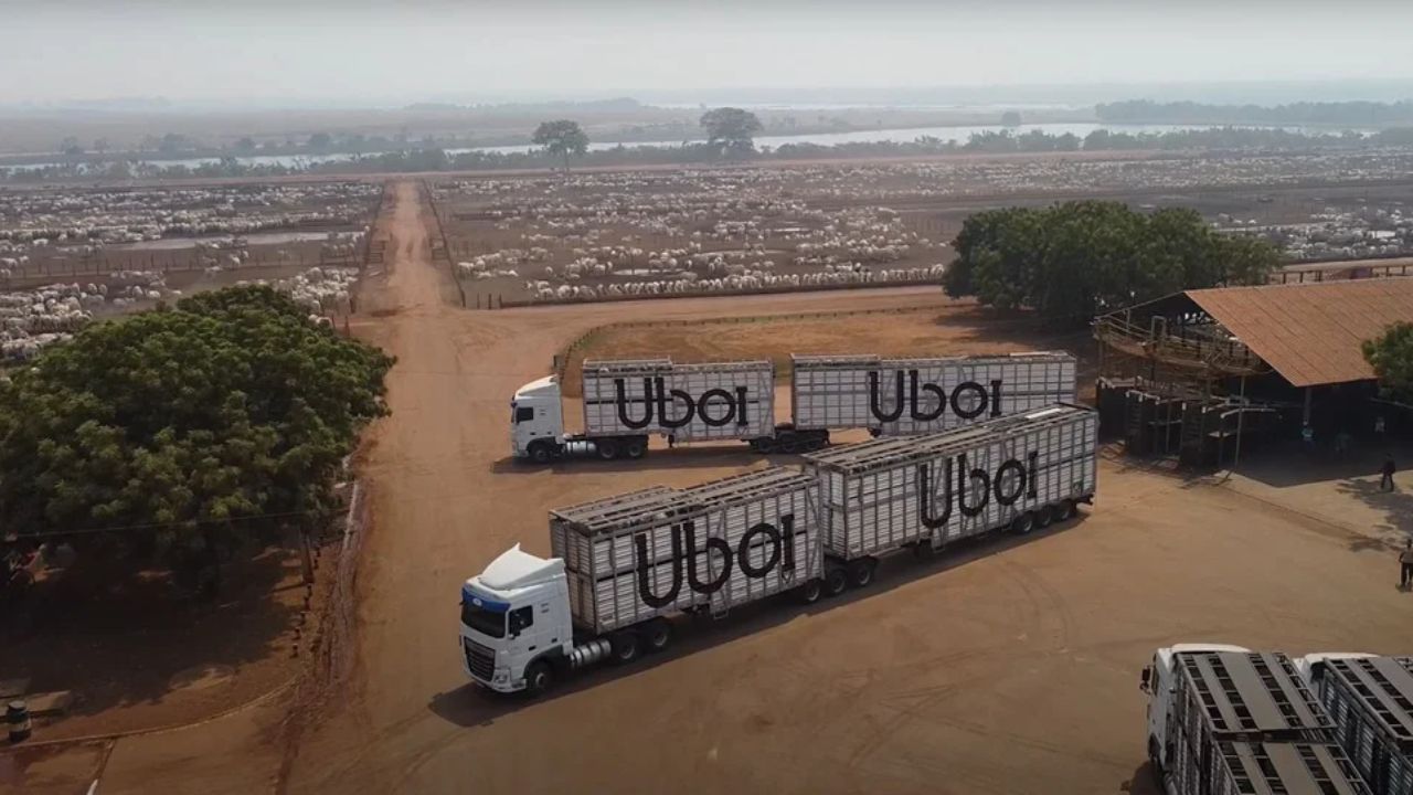 Empresas dominan las carreteras con flota de camiones gigantes, lideran el transporte por carretera, moldean la logística nacional y disputan posiciones en el ranking nacional.