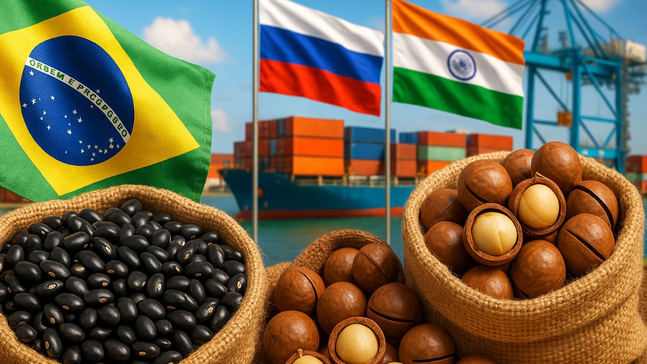 Brasil fecha acordos com Rússia e Índia para liberar feijão e macadâmia, amplia exportações, reforça credibilidade sanitária e garante novos mercados mesmo