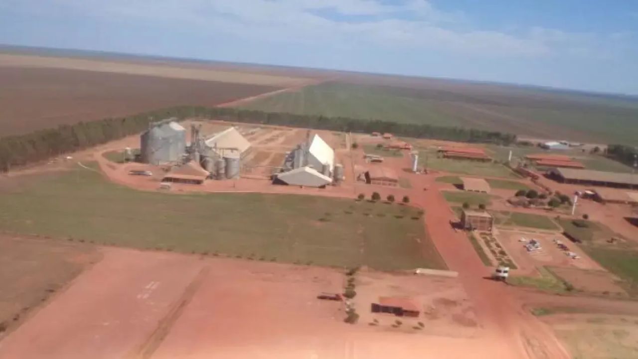 Granja Faria transforma dono de lavanderia em rei do ovo, lidera a produção de ovos, com produção de 16 milhões de ovos por dia e constrói um império de ovos.