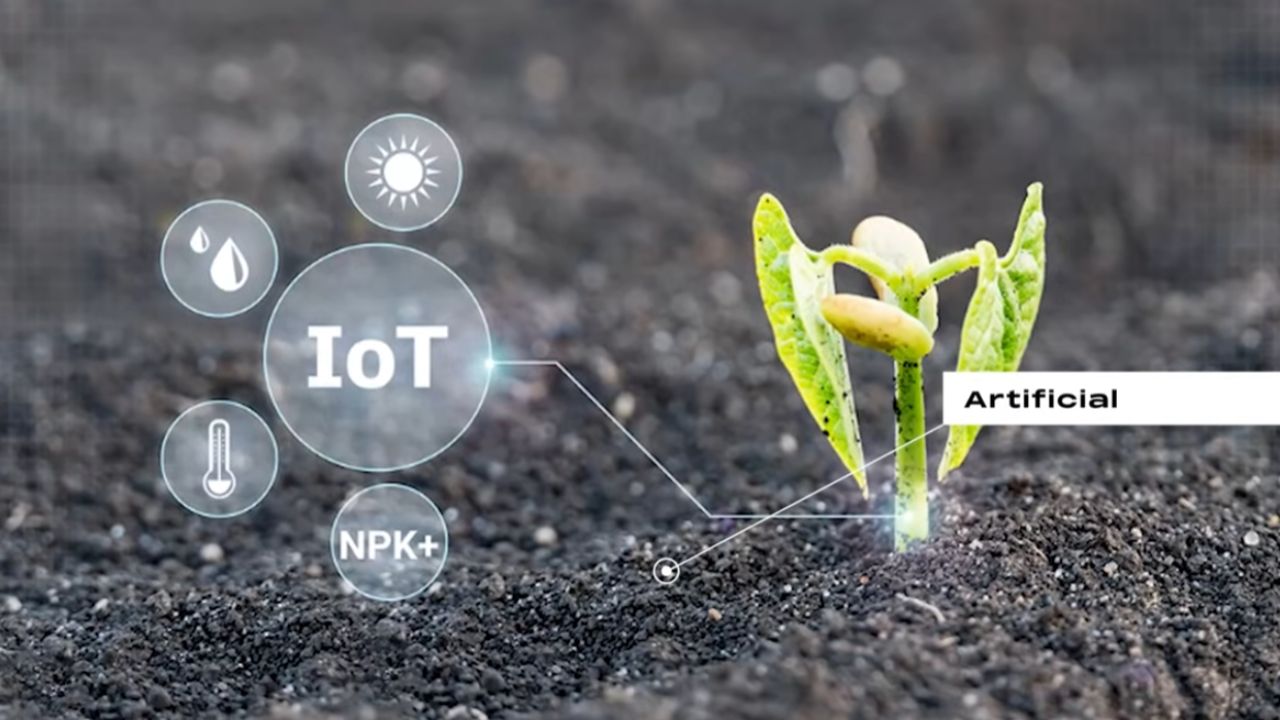 granja robótica y granja totalmente robótica: agricultura con IA, máquinas autónomas y sensores avanzados cambian siembra y ganado en China.